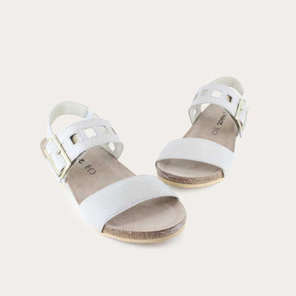 Naot Dynasty