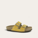 Yellow Canvas